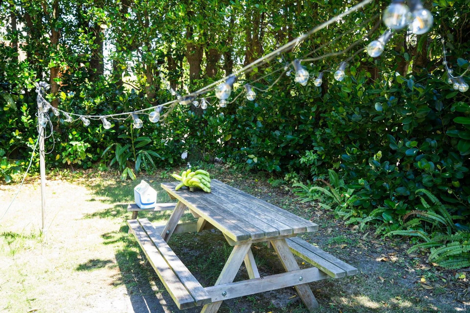 フクギに囲まれた家 さばんぎ沖縄古民家 Savangi Okinawan Designed Folk House 今帰仁村 エクステリア 写真