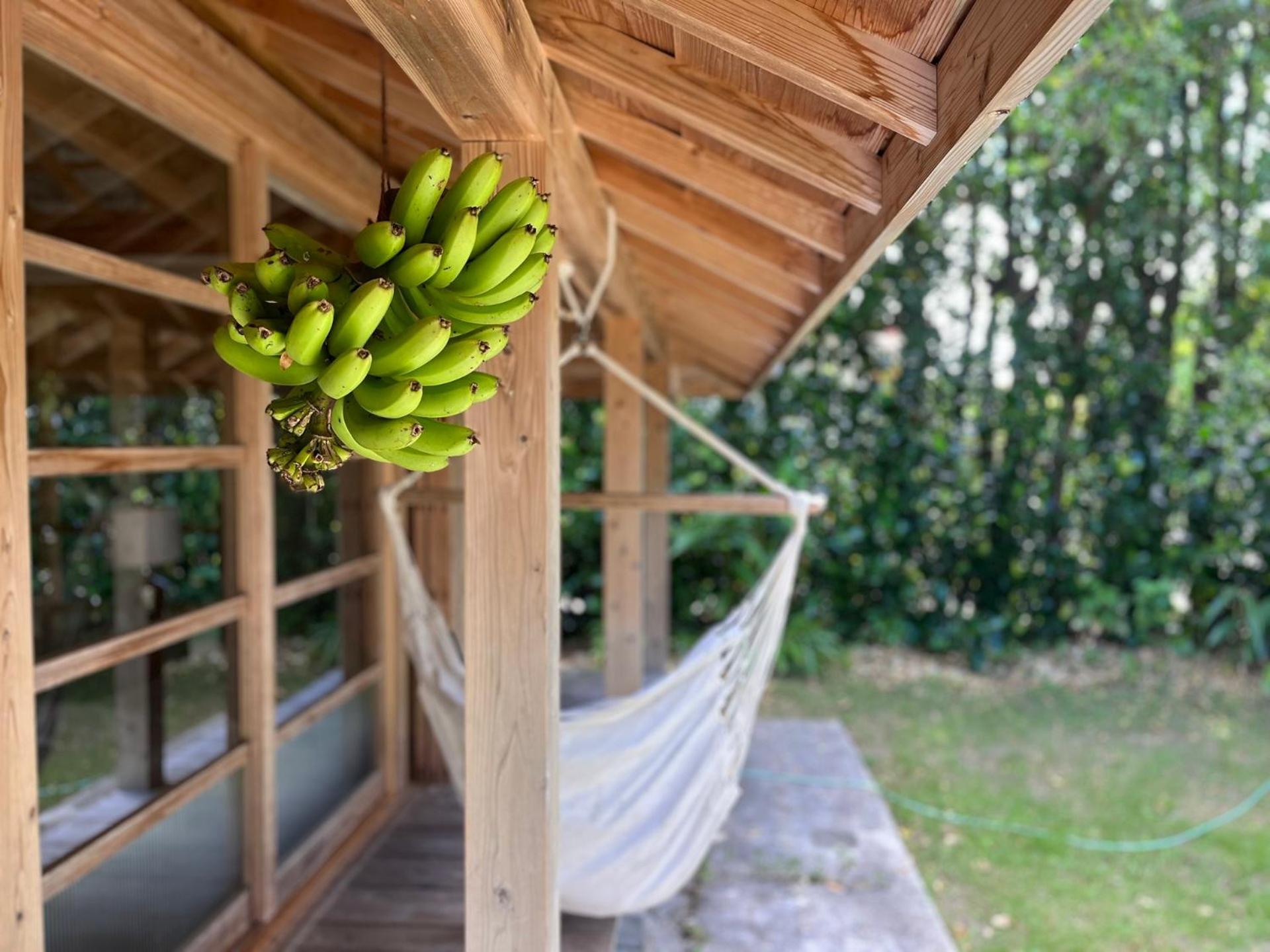 フクギに囲まれた家 さばんぎ沖縄古民家 Savangi Okinawan Designed Folk House 今帰仁村 エクステリア 写真